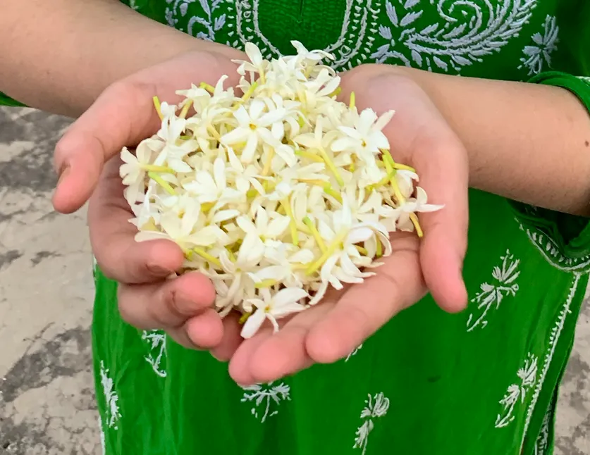 Screenshot 2019 06 24 At 19.38.02