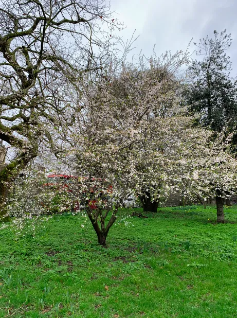 Screenshot 2020 02 26 At 01.11.27