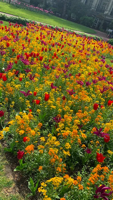 Screenshot 2020 04 28 At 16.29.48