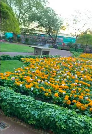 Screenshot 2020 04 28 At 16.32.10