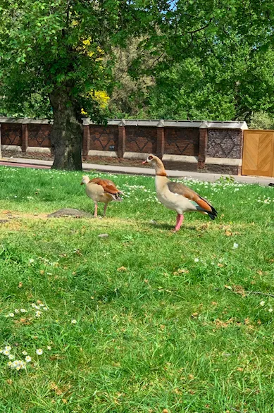 Screenshot 2020 04 28 At 16.52.06