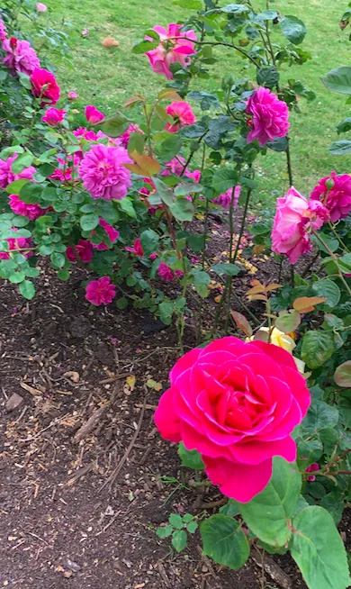 Screenshot 2020 05 11 At 01.19.22