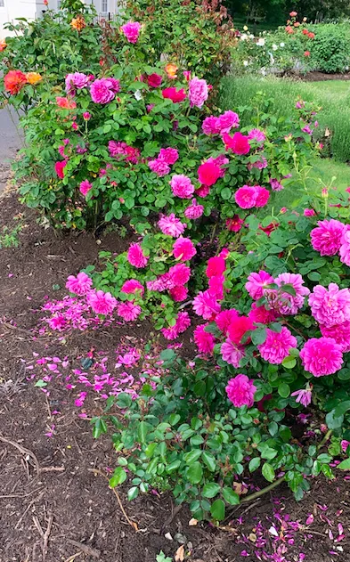 Screenshot 2020 05 11 At 01.19.38