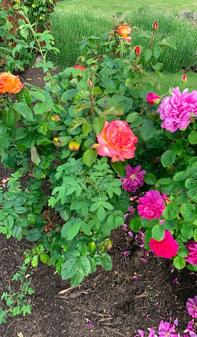 Screenshot 2020 05 11 At 01.19.51