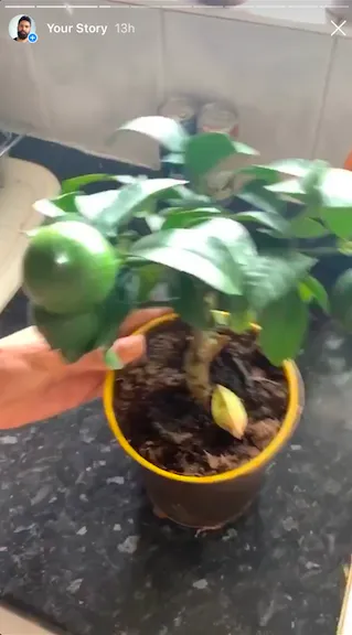 Screenshot 2020 07 26 At 01.11.50