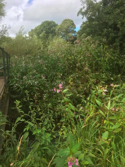 Screenshot 2020 08 23 At 23.48.02