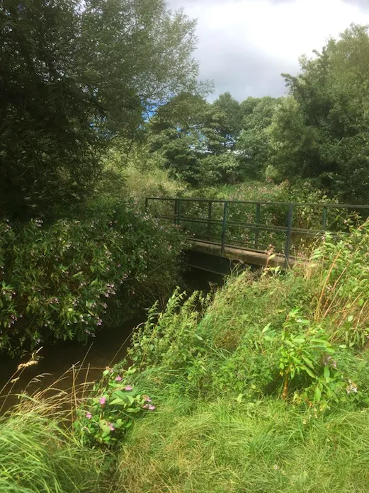 Screenshot 2020 08 23 At 23.48.25