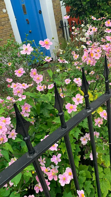 Screenshot 2020 09 03 At 00.49.18