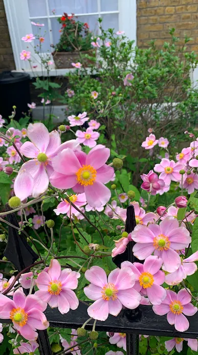 Screenshot 2020 09 03 At 00.49.30