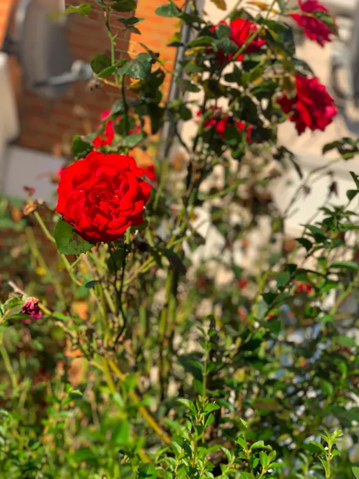 Screenshot 2020 09 14 At 00.21.48