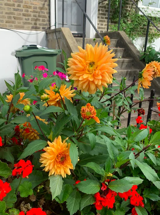 Screenshot 2020 09 19 At 01.37.53