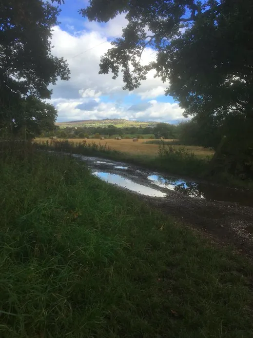 Screenshot 2020 10 13 At 02.26.10