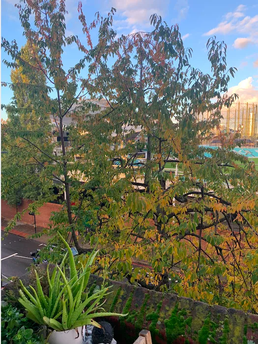 Screenshot 2020 10 23 At 01.33.14