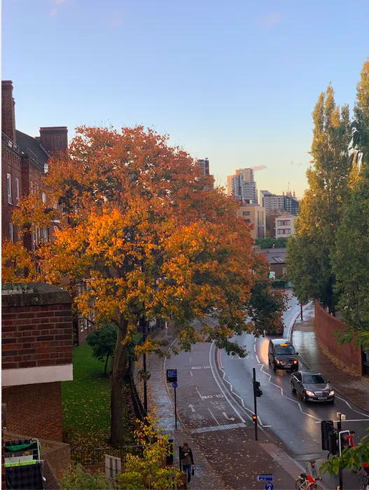 Screenshot 2020 10 23 At 01.33.25