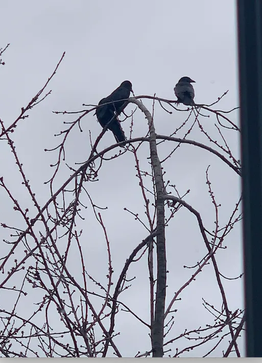 Screenshot 2020 11 19 At 10.04.02