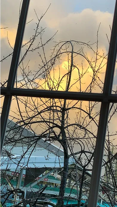 Screenshot 2020 12 12 At 00.16.09