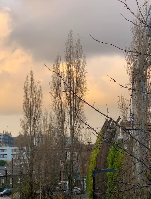 Screenshot 2020 12 12 At 00.17.11