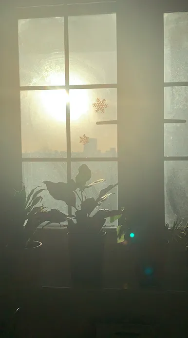 Screenshot 2020 12 16 At 01.59.21