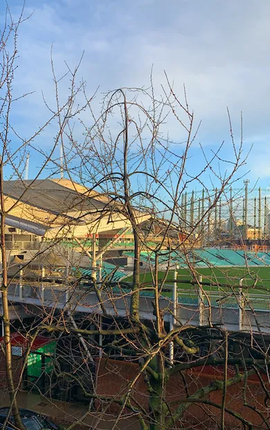 Screenshot 2020 12 16 At 02.00.04