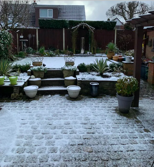 Screenshot 2021-01-24 at 03.24.26 Screenshot 2021 01 24 At 03.24.26