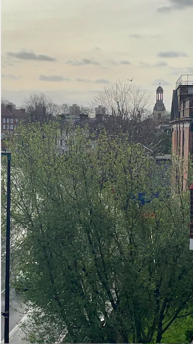 Screenshot 2021-04-08 at 00.28.37 Screenshot 2021 04 08 At 00.28.37