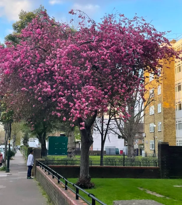 Screenshot 2021-04-15 at 03.57.28 Screenshot 2021 04 15 At 03.57.28