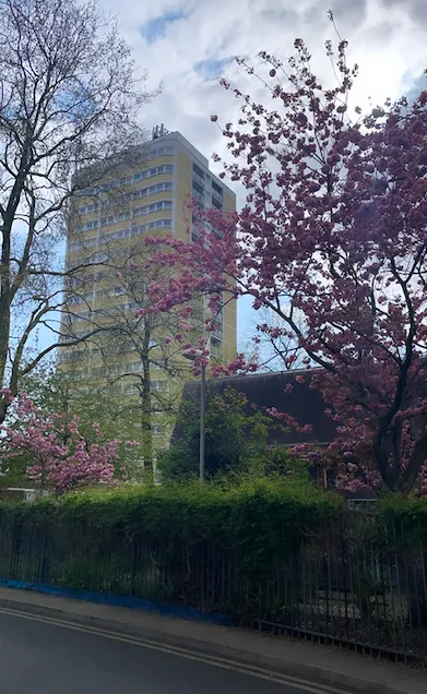 Screenshot 2021 05 03 At 10.16.13