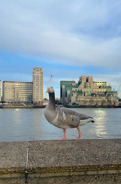 Screenshot 2021 05 03 At 10.58.59