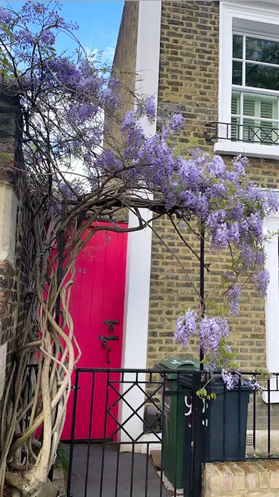 Screenshot 2021-05-11 at 02.24.32 Screenshot 2021 05 11 At 02.24.32