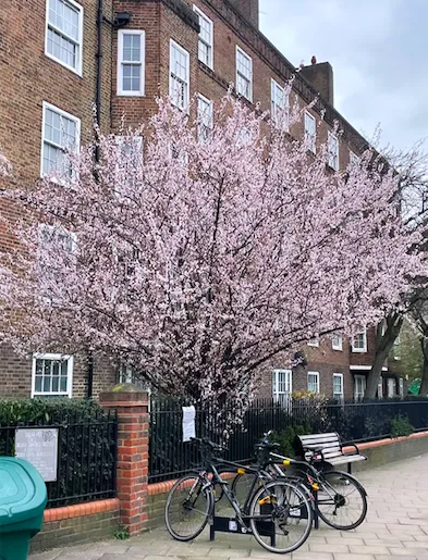 69cc3d325134471baaa165715d122c01 69cc3d325134471baaa165715d122c01