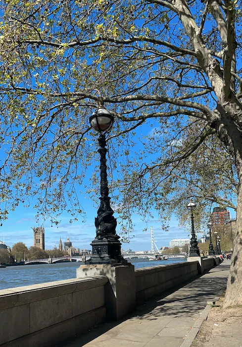 Screenshot 2021 08 08 At 15.51.38