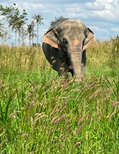 Screenshot 2023 01 07 At 22.37.13