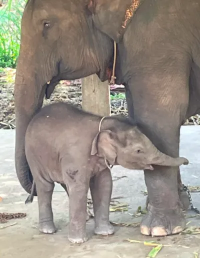 Screenshot 2023 01 07 At 22.39.28