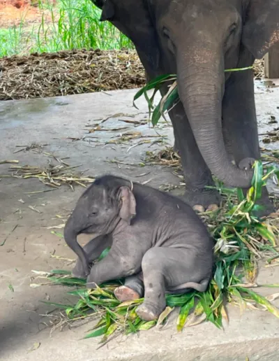 Screenshot 2023 01 07 At 22.39.48