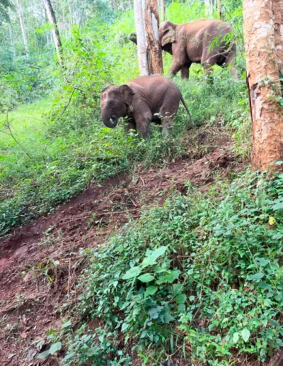 Screenshot 2023 01 07 At 22.41.05