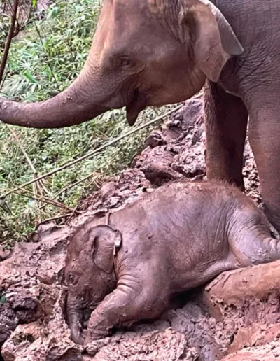 Screenshot 2023 01 07 At 22.41.15