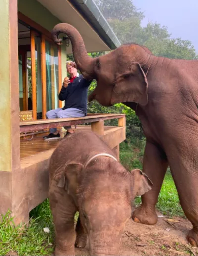 Screenshot 2023 01 07 At 22.42.02