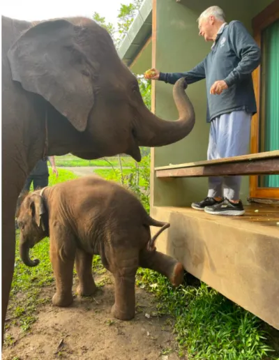 Screenshot 2023 01 07 At 22.42.27