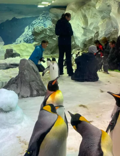 Screenshot 2023 01 07 At 22.49.49