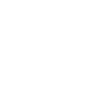 Divi Logo Mark White