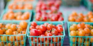 Organic Farming 06
