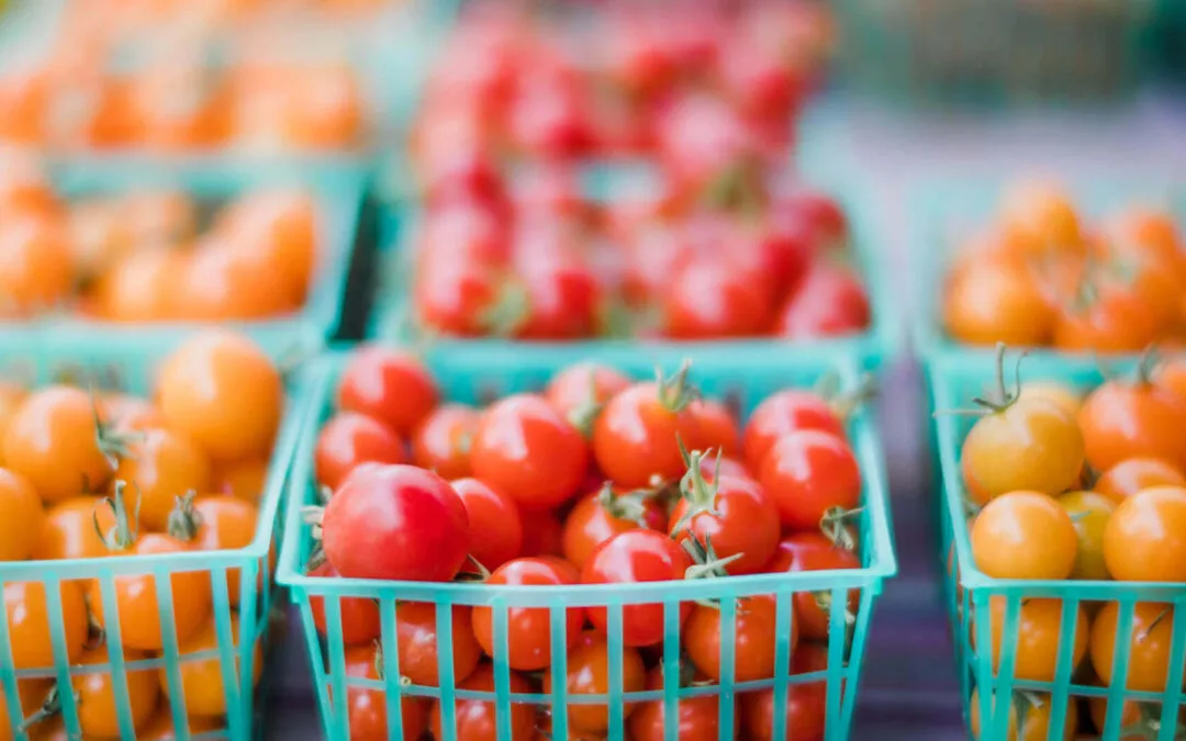Organic Farming 06 182930